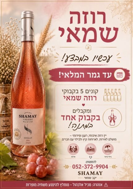 🎉 מבצע 1+5 יין רוזה יבש – רוכשים 5 בקבוקים ומקבלים 1 נוסף מתנה!